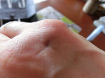 092502.jpg
