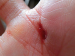 092504.jpg
